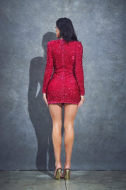 Long Sleeve Sequin Stretch Mini Dress