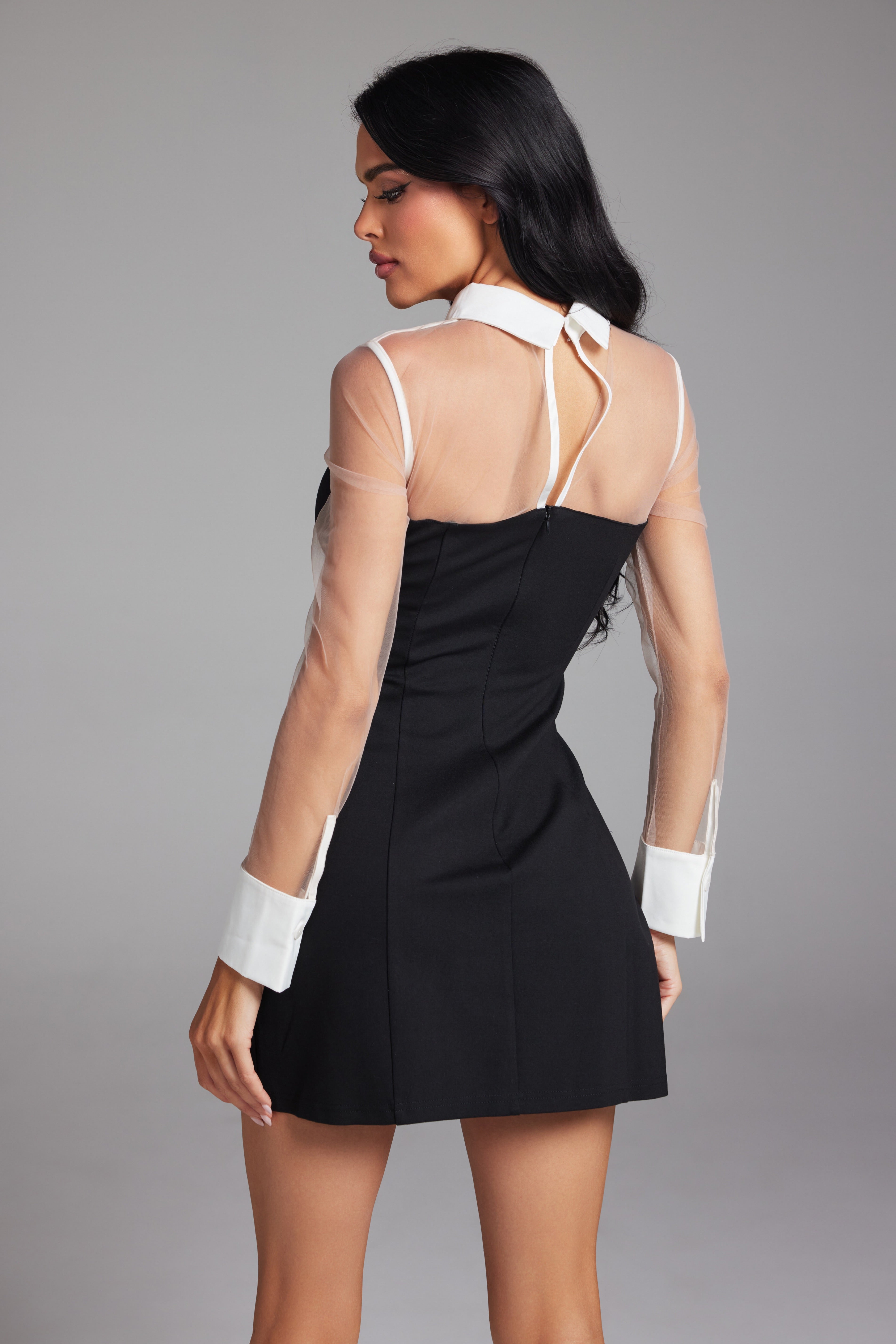 Contrast Collar Sheer Long Sleeve Mini Dress