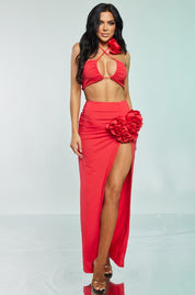 2 Pc Floral Applique Halter Crop and Maxi Skirt Set